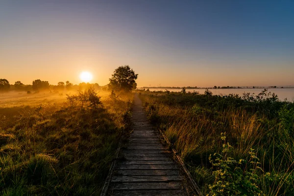A beautiful sunrise in a field by a lake captured on a clear day