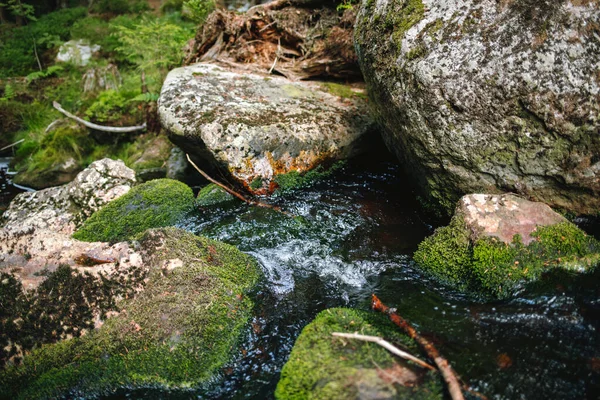 Plan Rapproché Ruisseau Forestier Avec Des Pierres Couvertes Mousse — Photo