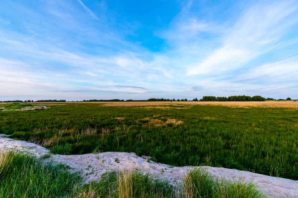Een Lage Hoek Opname Van Zand Grasland Een Bewolkte Dag — Stockfoto