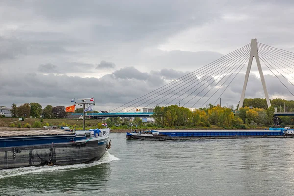 Neuwied Duitsland September 2019 Een Blauw Transportschip Aan Rivier Rijn — Stockfoto