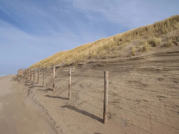 カトウィクの砂丘の木製の棒 — ストック写真