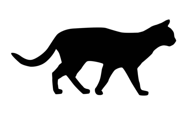 Silhouette Cat White Background — Stock Photo, Image