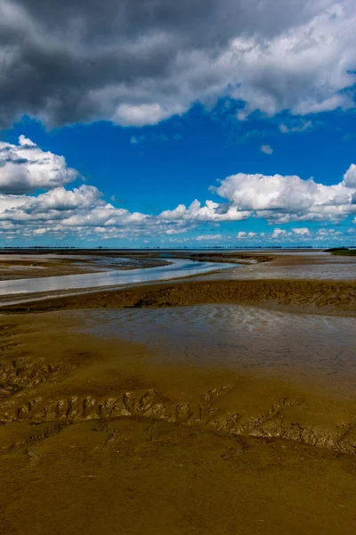 明るい青空の下で泥だらけの茶色の水の大規模なフィールドの垂直ショット — ストック写真