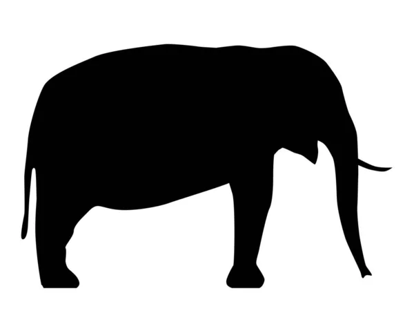 Uma Ilustração Digital Ícone Silhueta Preta Elefante Fundo Branco — Fotografia de Stock