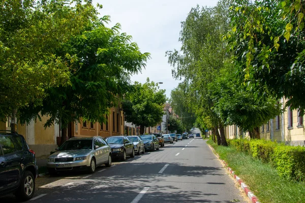 ลงทะเบ โรมาเน งหาคม 2020 ถนนในเม Reghin โรมาเน ยในฤด — ภาพถ่ายสต็อก