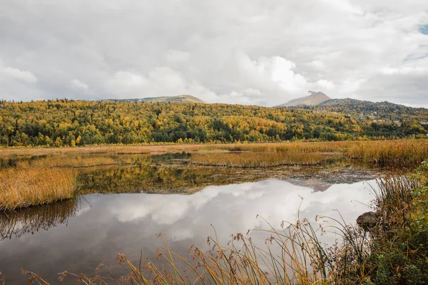 Ein Vergletscherter Bergsee Der Herbstlandschaft Alaska — Stockfoto