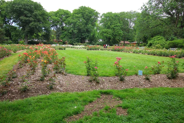 Columbus Estados Unidos Ago 2017 Parque Das Rosas Columbus Ohio — Fotografia de Stock