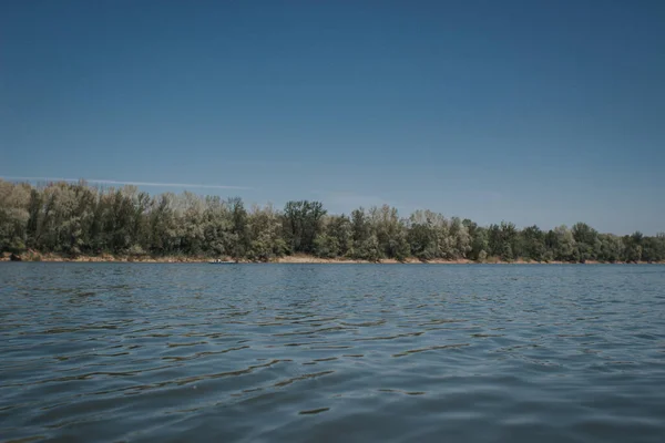 青い空の下の湖の近くの緑の木の風景 — ストック写真