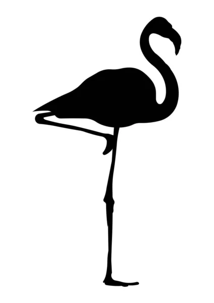 Illustration Une Silhouette Flamant Rose Isolée Sur Fond Blanc — Photo