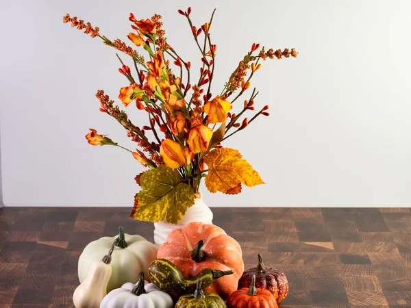 Beautiful Shot Autumnal Plants Vase Different Varieties Pumpkin Halloween — Stock Photo, Image