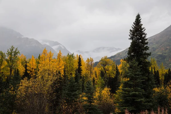 Uma Bela Foto Paisagem Montanhosa Outono Alasca — Fotografia de Stock