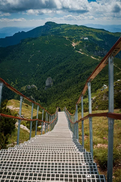 Вертикальний Виріб Болотистої Доріжки Оточеної Зеленню Національному Парку Чахлау Румунія — стокове фото