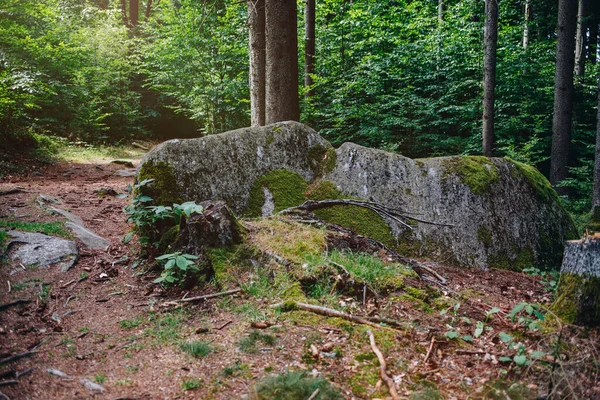 Scenic Shot Forest Rocks Luisenburg Rock Labyrinth Fichtelgebirge Germany — ストック写真