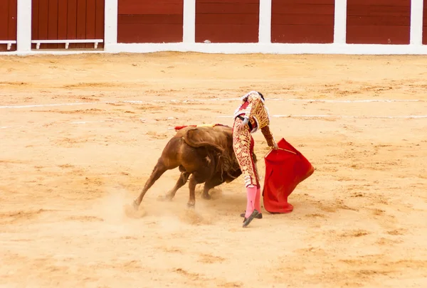 Plasencia Espagne Juin 2015 Taurillon Matador Miguel Angel Perera Sur — Photo