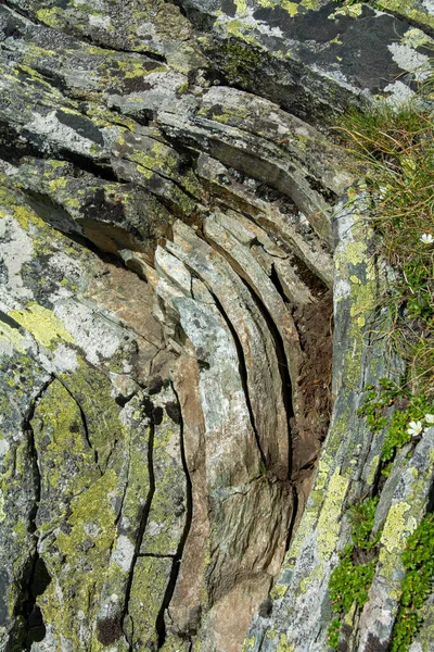 Closeup Shot Curved Stone Layers Covered Moss — Stock Photo, Image