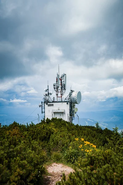 Uma Foto Vertical Parque Nacional Ceahlau Roménia — Fotografia de Stock