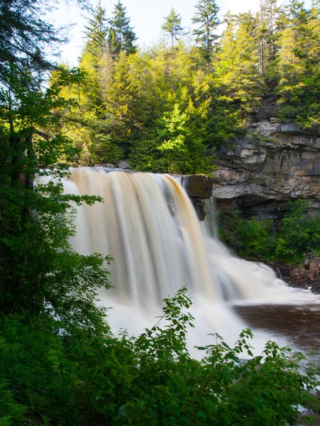 Vertikal Bild Blackwater Falls State Park Davis Usa — Stockfoto