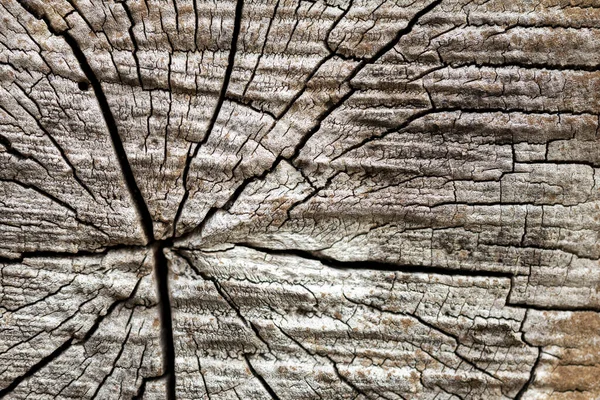 Kurumuş Yıpranmış Eskimiş Ahşap Yüzeyin Detayları Dokusu Arkaplan Üst Üste — Stok fotoğraf