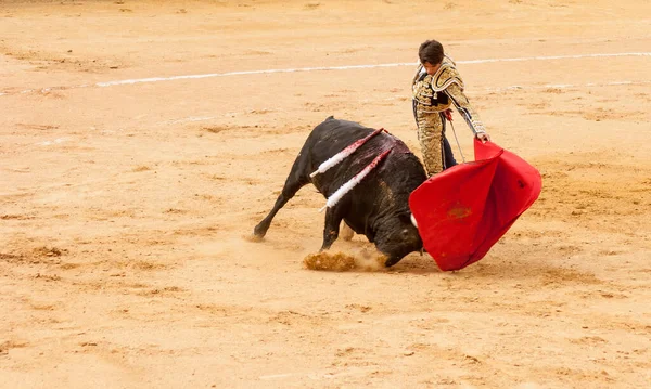 Plasencia Španělsko Června 2015 Býčí Zápasy Matadora Sebastiana Castelly Náměstí — Stock fotografie