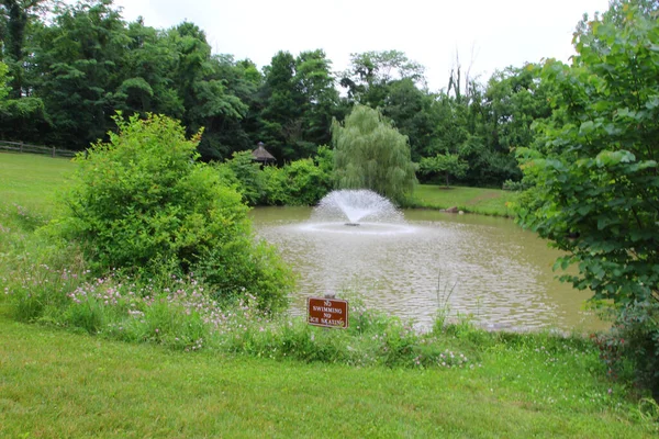 Eine Wasserfontäne Einer Feile Die Tagsüber Erbeutet Wurde — Stockfoto