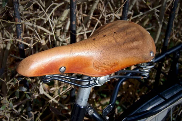 Tiro Close Assento Marrom Uma Bicicleta Com Pequenos Ramos Secos — Fotografia de Stock