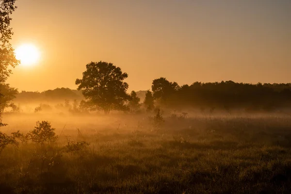 Ландшафтний Знімок Заходу Сонця Полі — стокове фото