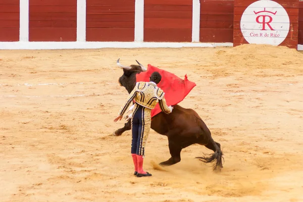 Plasencia Spain Jun 2015 Bullfight Matador Sebastian Castella Plaza Toros — стокове фото