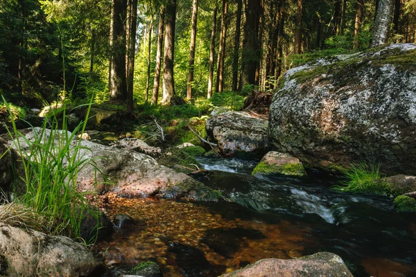 Scénický Snímek Části Řeky Main Názvem White Main Nachází Fichtelgebirge — Stock fotografie