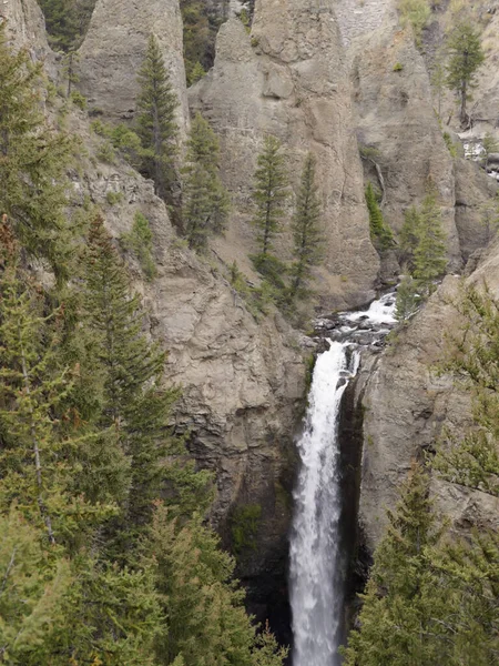 Yellowstone National Park Vereinigte Staaten Aug 2012 Der Tower Creek — Stockfoto