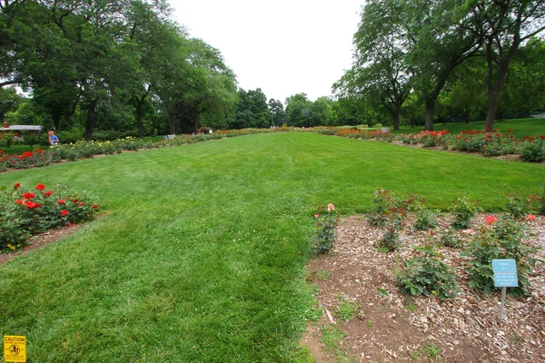 Columbus Förenade Staterna Aug 2017 Rosparken Columbus Ohio — Stockfoto