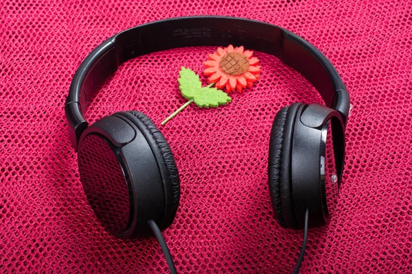 Closeup Big Black Headphones Pink Surface Lights — Stock Photo, Image
