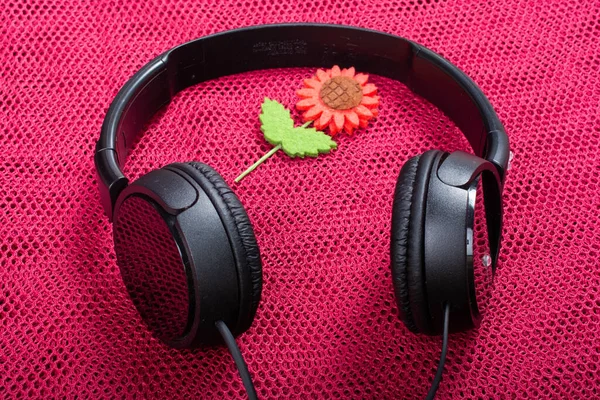 Closeup Big Black Headphones Pink Surface Lights Stock Photo by