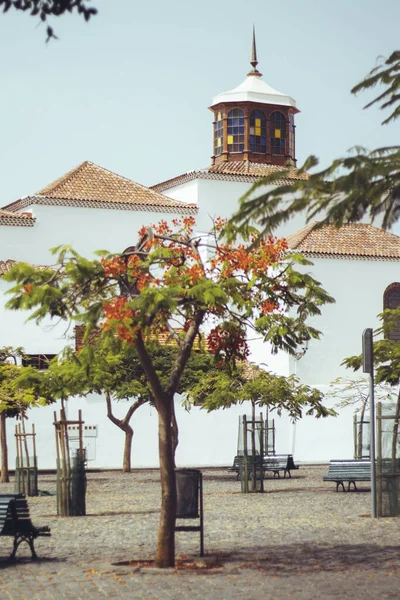 Colpo Verticale Bellissimo Edificio Bianco Con Albero Primo Piano — Foto Stock