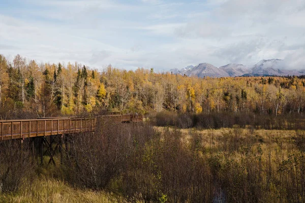 Ένα Φθινόπωρο Τοπίο Στα Βουνά Της Αλάσκας — Φωτογραφία Αρχείου
