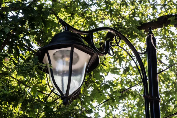 Closeup Shot Decorative Street Lamp Park — Stock Photo, Image