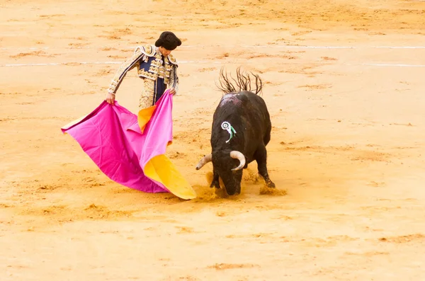 Plasencia Espanha Junho 2015 Tourada Matador Sebastian Castella Plaza Toros — Fotografia de Stock