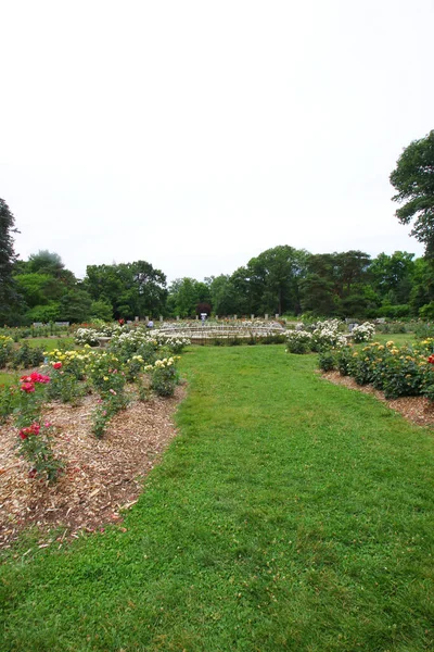 Eine Vertikale Aufnahme Eines Parks Mit Blühenden Leuchtenden Blumen — Stockfoto
