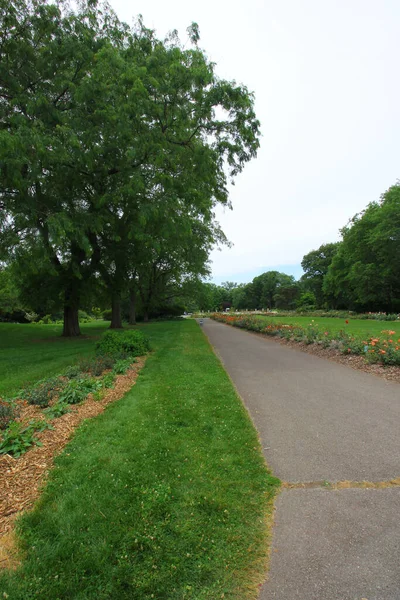 Een Verticaal Schot Van Een Wandelpad Leidend Door Een Park — Stockfoto