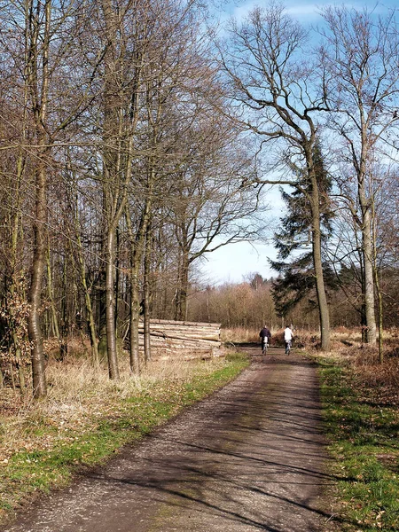 Een Verticale Opname Van Een Grindpad Met Twee Fietsers Late — Stockfoto