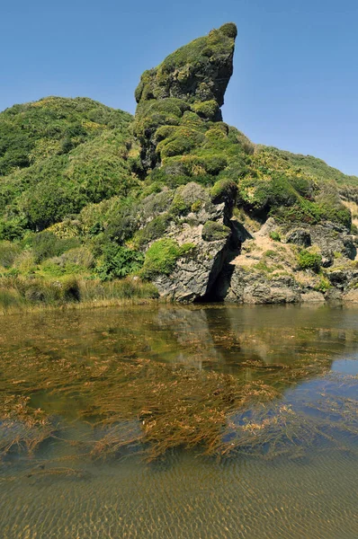 苔に覆われ緑に覆われた丘に囲まれた湖 — ストック写真