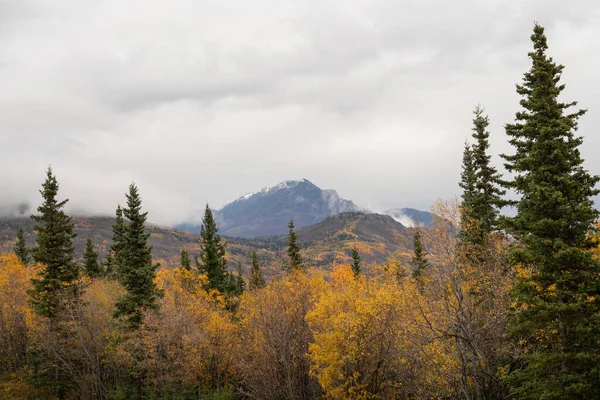 Paesaggio Autunnale Sulle Montagne Dell Alaska — Foto Stock
