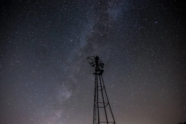 Una Hermosa Toma Árbol Joshua Noche Parque Nacional California — Foto de Stock