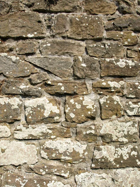 マルハイムの採石場の石の壁の垂直ショット 背景に最適です — ストック写真