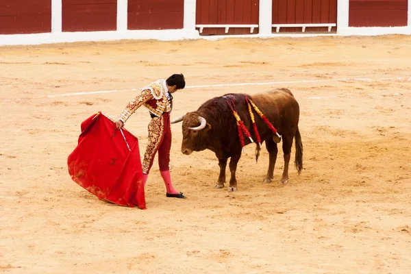 Plasencia Espagne Juin 2015 Taurillon Matador Miguel Angel Perera Sur — Photo