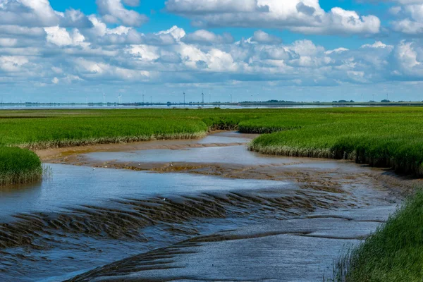 Beau Plan Eau Boueuse Dans Champ Sous Ciel Bleu Vif — Photo