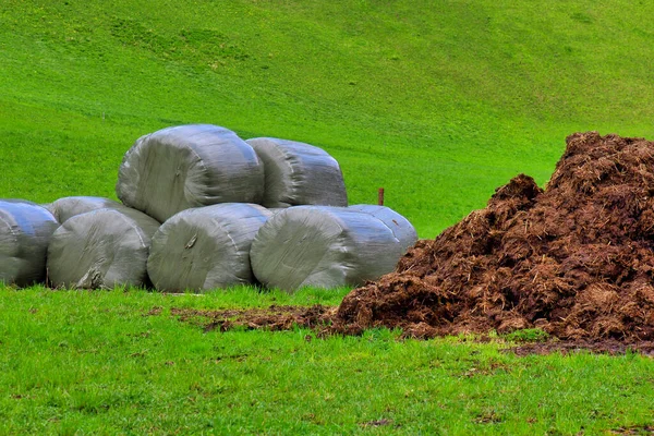 Een Stapel Hooibalen Gewikkeld Plastic Folie Een Akkerbouwveld — Stockfoto