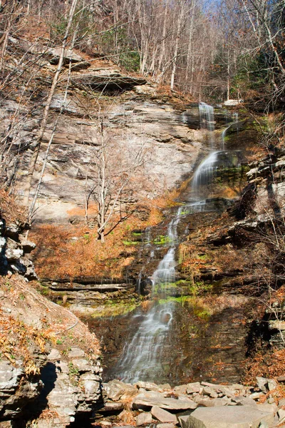 Vertikal Bild Ett Vattenfall — Stockfoto