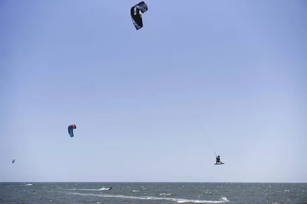 Een Lage Hoek Opname Van Kitesurfers Het Strand Overdag — Stockfoto