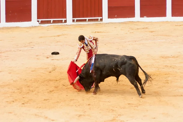 2015 Plasencia Spain Jun 2015 Bullfight Matador Miguel Angel Perera — 스톡 사진