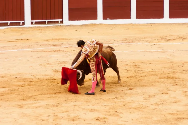 Plasencia Spanien Juni 2015 Stierkampf Des Matadors Miguel Angel Perera — Stockfoto